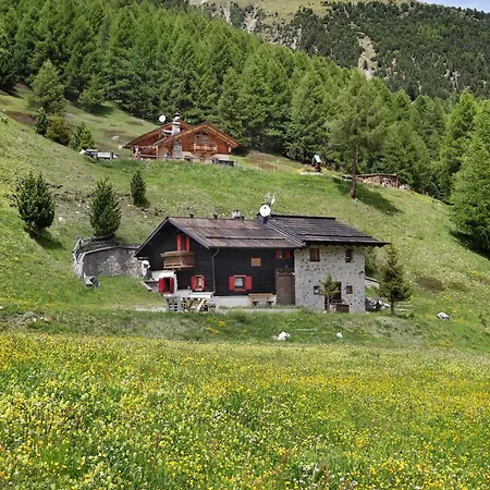 בקתה Chalet Shalom